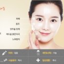 제주필의원 이미지