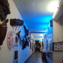 땅끝해양자연사박물관 이미지