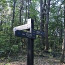 정태농장 | 남해지맥1구간(구들뫼,구두산,금음산,대국산,삼봉산,망운산)산행