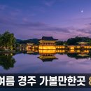 양남자전거 | 경주 가볼만한곳 여름 실내·물놀이·야경 코스 8곳 추천