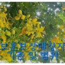 위드유 행정사 사무소 이미지