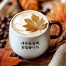 ⚘️11월12일 수요일 강원방 출석부⚘️ 이미지