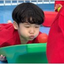 스마일태권도장 | 🎯 유치부 집중력 훈련 – 교구를 활용한 몰입의 시간