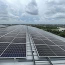 대박 태양광 발전소 이미지