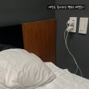 [월정리 숙소]단독 풀장이 있는 아쿠아뷰티크 펜션 후기