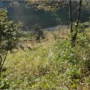 합성동102 이미지