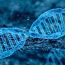 미래유전자 이미지