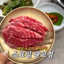 센트럴타운로100번길 | [수원 맛집] 광교 소갈비살 맛집 소요일, 프리미엄 소갈비살에 꽃게라면까지! 내돈내산 솔직후기