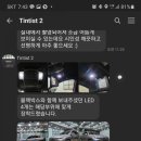 틴티스트