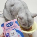 인터펫코리아 | 무치 기호성 최강 고양이습식 급여후기