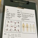 하이스파 이미지