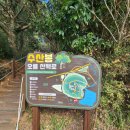 물메초등학교 | [주주파파 제주 일년살기] 제주가볼만한곳-오름탐방 11)수산봉(물메오름)