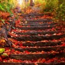 제일물산 이미지