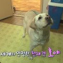 호야농장 이미지