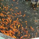 섬진강어류생태관 이미지