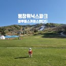 백담스카이하우스 | 평창 휘닉스파크 블루동 스카이스탠다드 1100호 후기 셀프체크인 13개월 아기랑