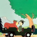 주식회사 대원동물 이미지