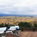 다미해물짬뽕왕돈까스 이미지