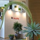 아가베 서울(Agave) 이미지