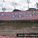 풍기할인마트 이미지