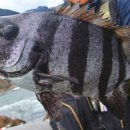 만찬수산 이미지