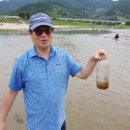 도둑골야영장 이미지