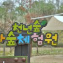천년숲 유아숲체험원 이미지