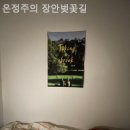 장안벚꽃길 이미지