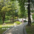 양평피엠 | 용문산에 갔다오다☺️