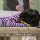 털뭉치들 이미지