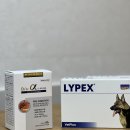 라이펙스 이미지