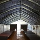 숲속의오리 이미지