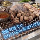 돼지여행 | 아이랑 제주여행 | 렌트카 대여, 흑돼지 맛집 여행코스 (내돈내산 후기)