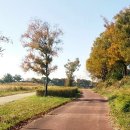 담양오방길5코스(누정길) 이미지