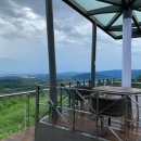 대관령전망대 이미지