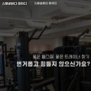 스페셜바디 레이디 이미지