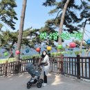 호수공원소나무숲길 | 아기랑 1박 2일 여행하기: 낙산사, 속초중앙시장, 영랑호수공원(feat. 범바우막국수, 해녀전복뚝배기)