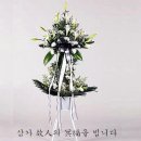 삼가-23 이미지