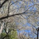 삼성전기(주) | [오픽 후기] 옆 사람 목소리 안 들리는 오픽 시험장? 강서 CBT 센터 덕분에 떨지 않고 왔어요 &amp; 독학...