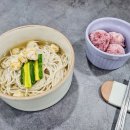 종로애견미용 이미지