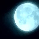 2785/ So much for that. 이미지