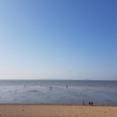 방아머리공원(솔밭) 이미지