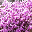 산에들에 - 파주시 성동로 19-63 | 산에들에