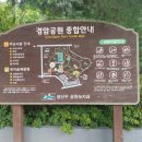 경암근린공원 유아숲체험원 이미지