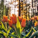 아름여관 이미지