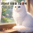 대전판암초교 | 사주잘보는곳 전화상담 필로소피 효설 심층사주 만족 후기