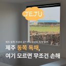일상의 쉼표 | 제주 동쪽 감성 숙소 추천, 하도세미 B동 독채 펜션 사우나부터 자쿠지까지 풀코스 힐링