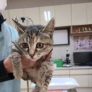 문산중앙병원 이미지