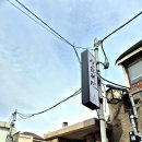 P-7402 | 본점인데 고려청자가 벽에 박힌 신라제면 안국점 비빔밥 꼭 먹어야 할까? 내돈내산 솔직후기 꿀조합 추천