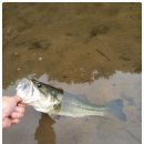 능애 낚시터 이미지